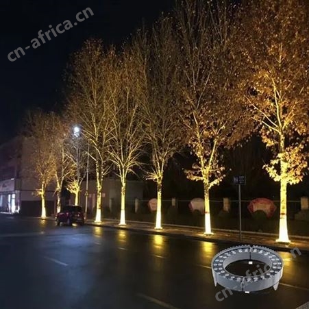 小区公园用 太阳能景观灯 户外庭院家用 特色智慧路灯 按需求定制