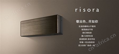 DAIKIN大金空调risora FTSW250WC-W1家用2匹冷暖壁挂机二级变频