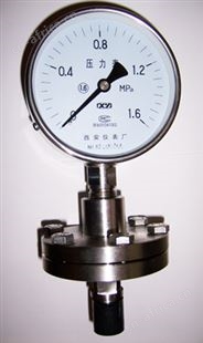 YTP-100、150耐腐隔膜压力表YTP-100