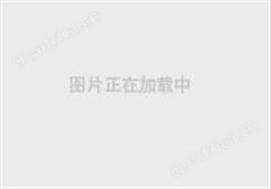 无纸记录仪