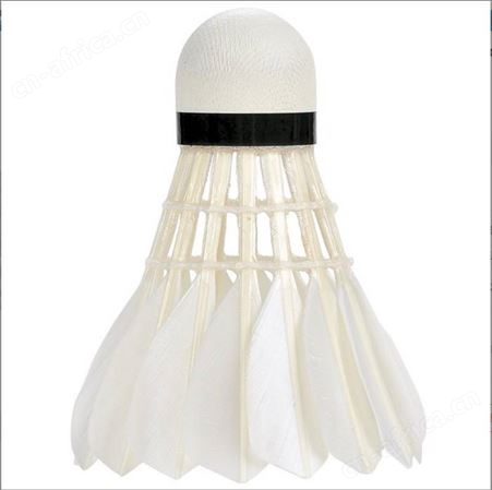 李宁 LI-NING 羽毛球鹅毛 G200 飞行稳定耐打比赛娱乐用球12只装