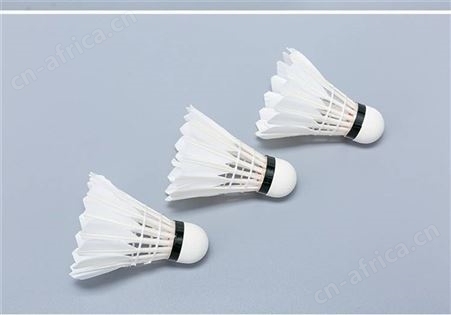 李宁 LI-NING 羽毛球鹅毛 G200 飞行稳定耐打比赛娱乐用球12只装