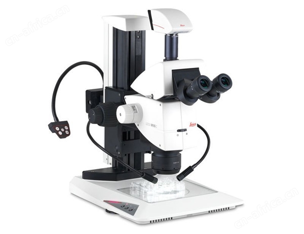Leica M165 C stereo microscope.jpg