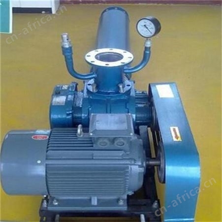 YLFR100F罗茨真空泵