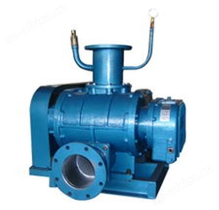 YLFR200F罗茨真空泵