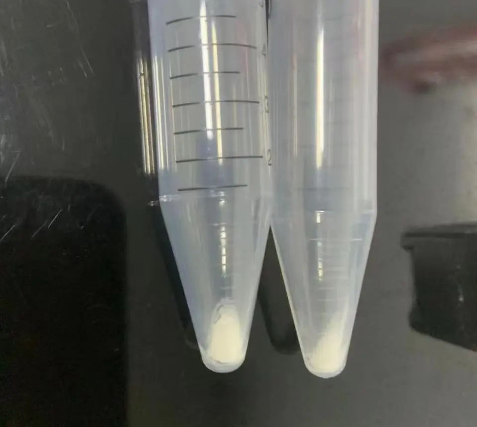 图片 客户案例|科研教学好帮手—CV200入驻北京林业大学
